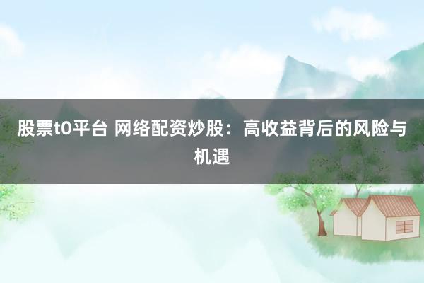 股票t0平台 网络配资炒股：高收益背后的风险与机遇