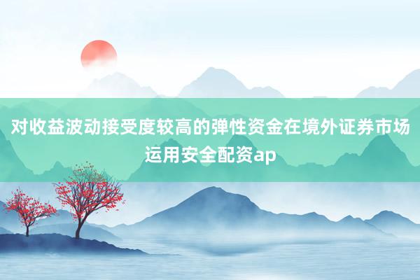 对收益波动接受度较高的弹性资金在境外证券市场运用安全配资ap